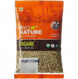 Pro Nature Organic Saunf (Fennel)   Pack  100 grams